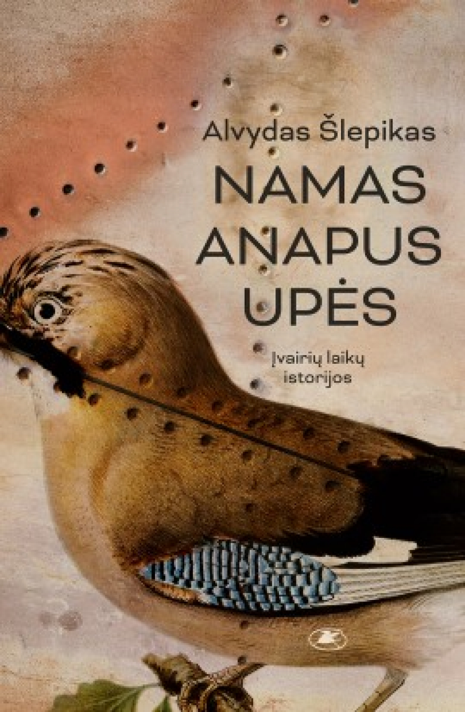 Alvydas Šlepikas - Namas anapus upės