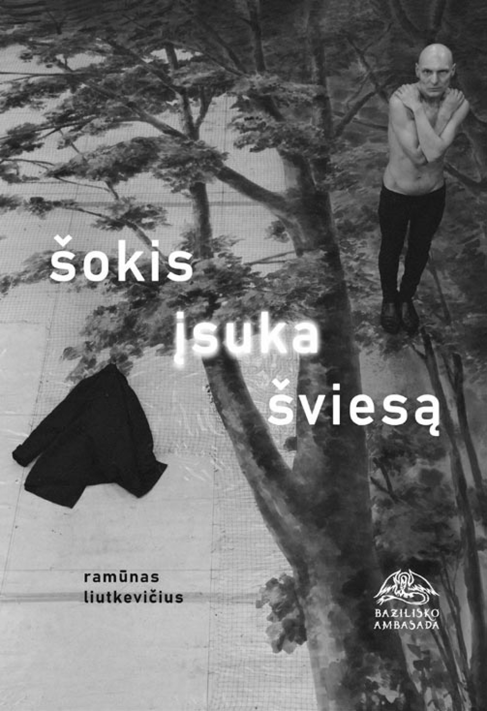 Ramūnas Liutkevičius - Šokis įsuka šviesą