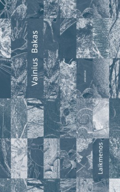 Vainius Bakas - Laikmenos