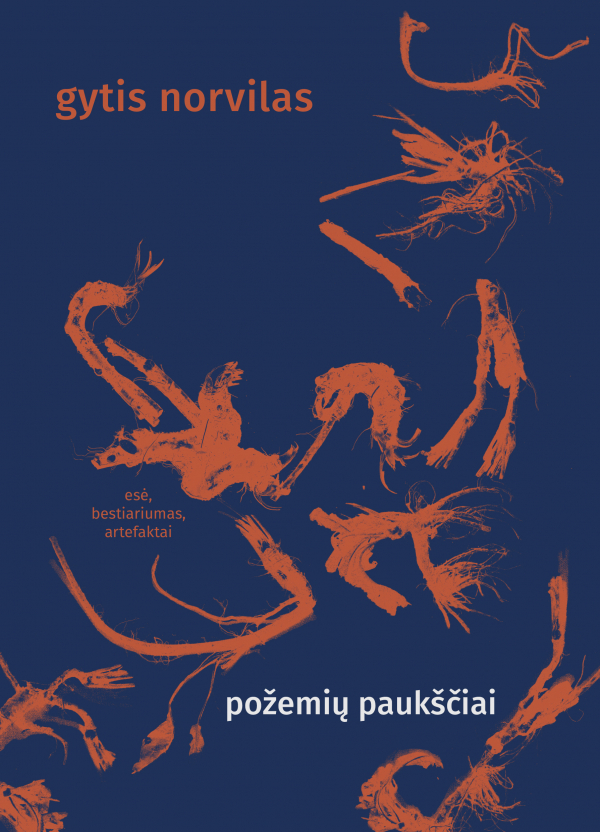 Gytis Norvilas - Požemių paukščiai